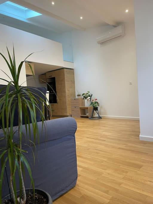 Appartement Atypique Et Fraichement Renove *
